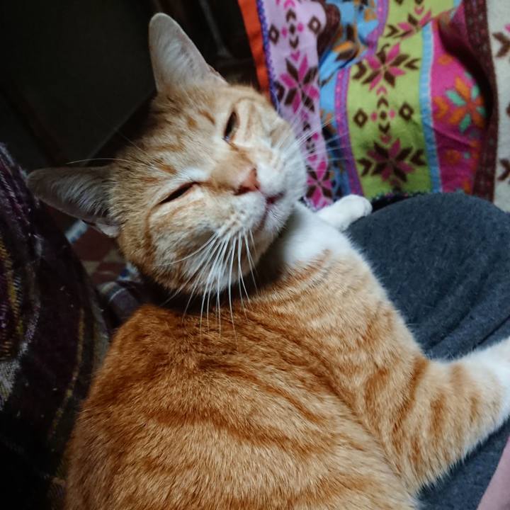 2ade622e 01d5 4a15 8fd0 da5301a59c15 1585427291356