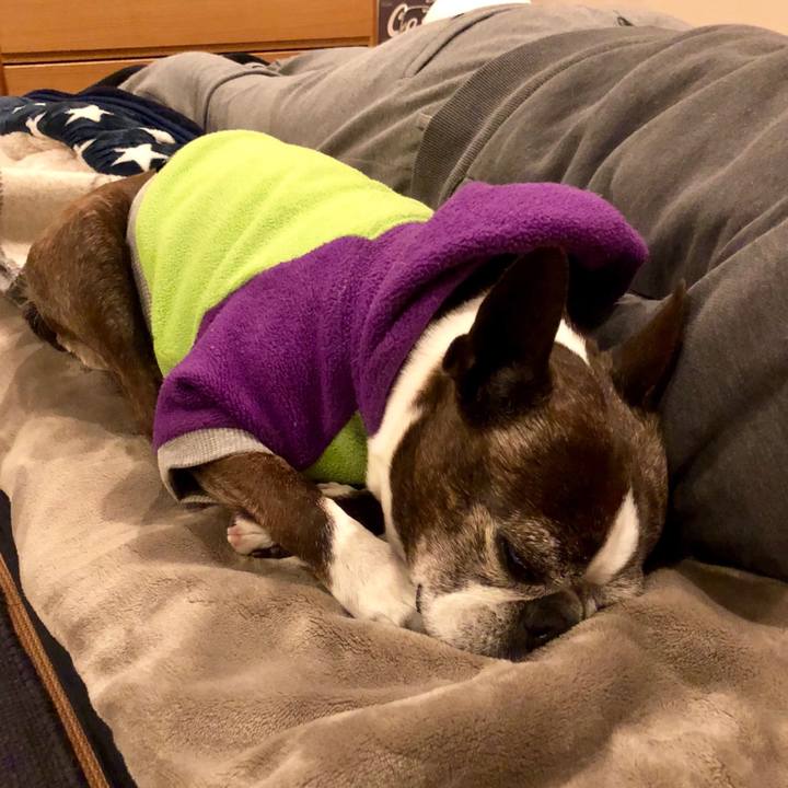 2ade6285 d460 4ebd 9947 daa5b9bafb83 1517734572777