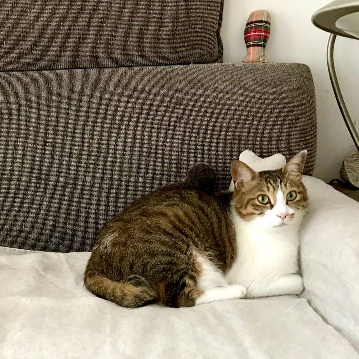 2ade7989 ff49 49bf 8145 53456b494a6c 1528954048789