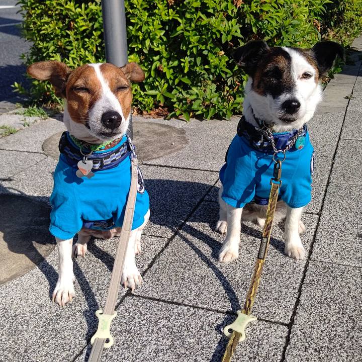 2ade9161 bdc6 457c bd12 7a71277f5a54 1654034883624