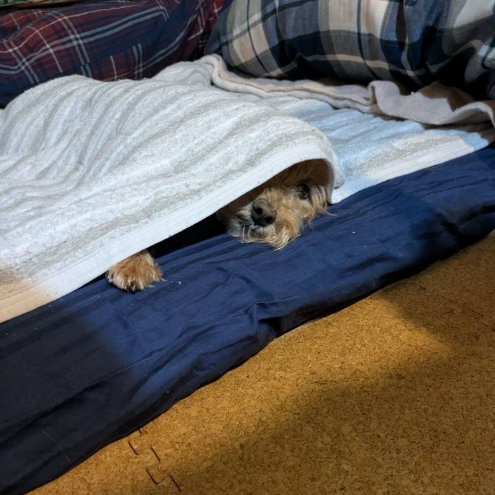 2adebaed da24 48d8 9989 0a2b44b96669 1761212582173