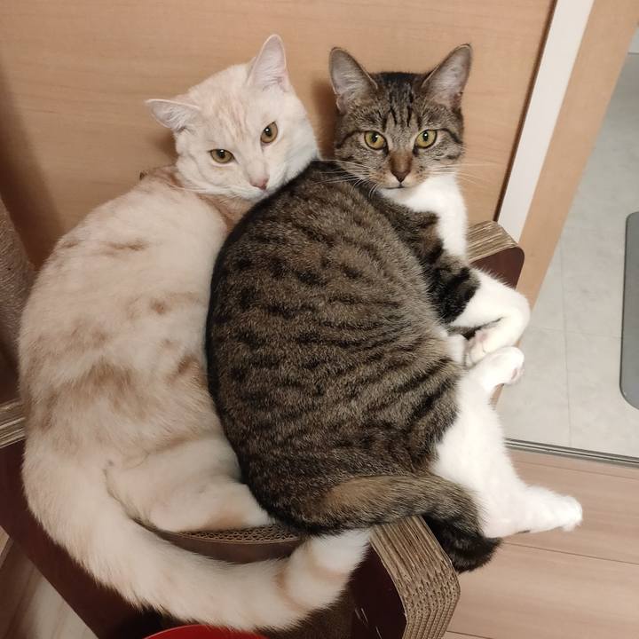 2adeedcf 9986 400f 948e 4a6b39f0ed78 1662638282649