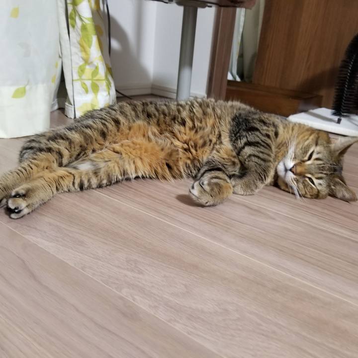 2adf2405 6195 40df b924 58e74ca17656 1612784788714