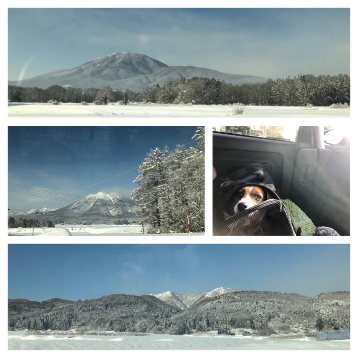 2adf3908 49e5 45fc a175 87b094aeb029 1548243298572