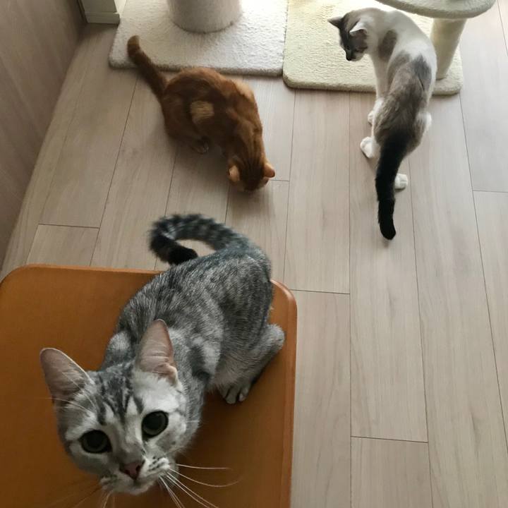 2adf3d70 47b7 4733 84ff 2aee7b869881 1531439913124