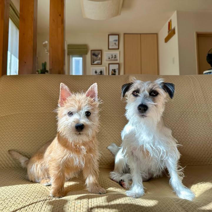 2adf8f2c c8b7 4d5f a55f c20362324583 1706711079204