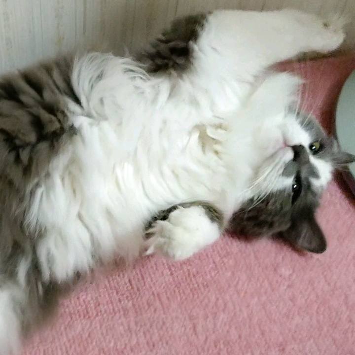 2adfa91b 4f4c 45cb 85d4 c830649c2f09 1591139989408