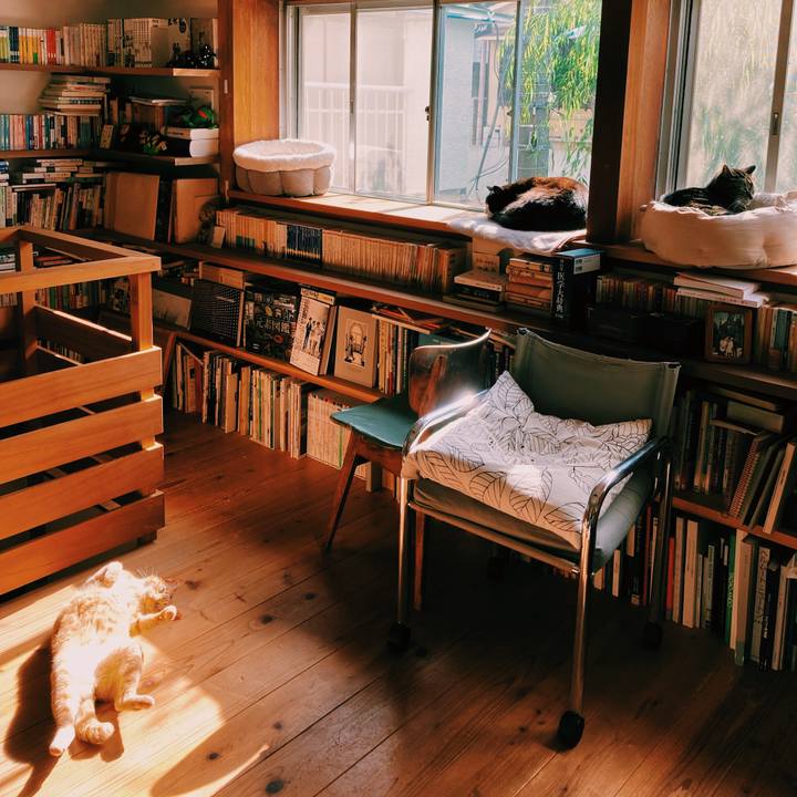 2adfb65f 8bcc 412d 8efd c2b881d9efe2 1590278543550