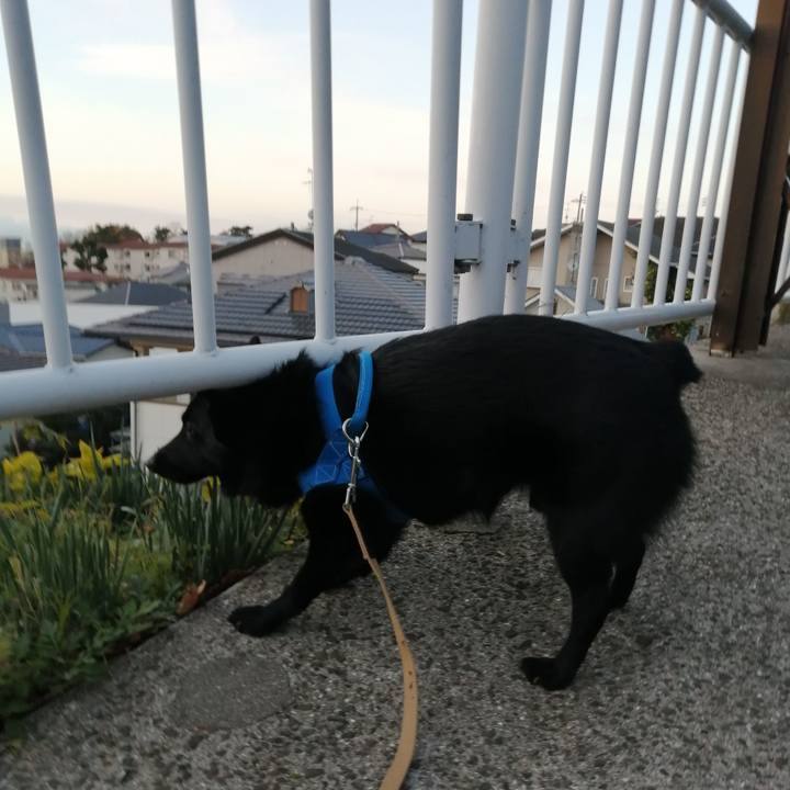 2adfd64d c6fc 430f bee7 2c6353317667 1608242798813