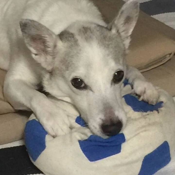 2ae01b41 3ce9 4801 bdc4 ae6bc64fe1d7 1762298661741