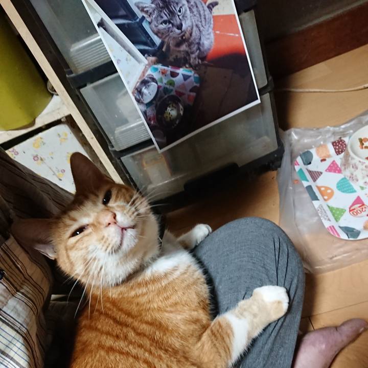 2ae01f05 1b31 4504 a8b5 ad4f8598f365 1601238189662