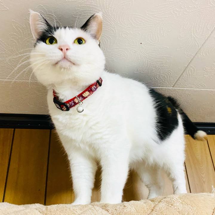 2ae02763 bbfd 4044 b708 5b68dfe374fb 1667340947310