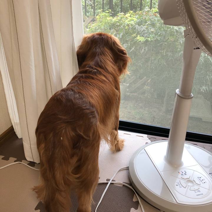 2ae08e71 6c25 4be0 bd1e 100b8ed327bb 1600986702682