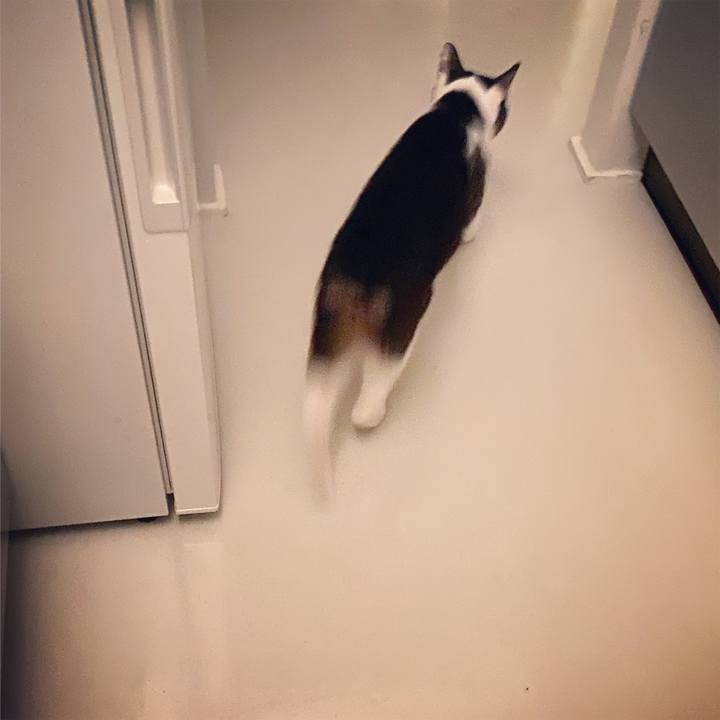 2ae10306 e324 4576 beb2 ae12e2bb6544 1599829628274