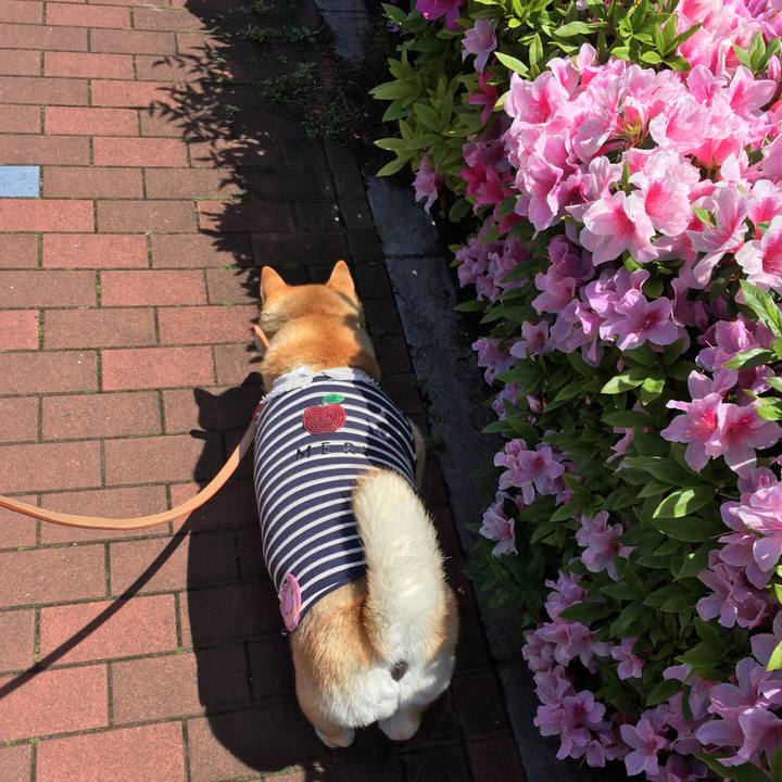 2ae13403 1de6 416c b6aa 6d893fd484f5 1556428069227