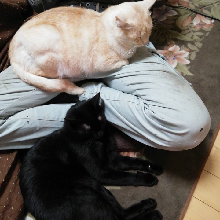 2ae15eb0 56fb 452a bbeb 94c3af9a8caa 1614376818192