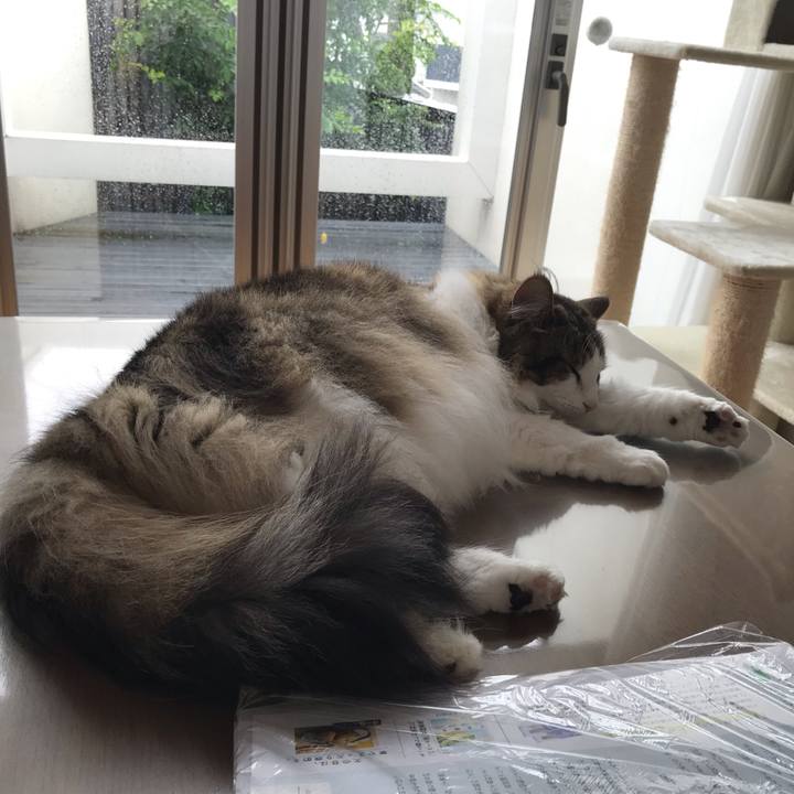 2ae16c7a 2341 4cea 8339 9aad315ef8cd 1622805288728