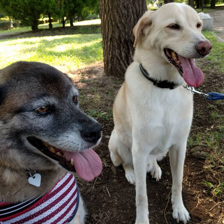 2ae17773 e44e 486d 9bac 414bdcfe05dc 1733358396171