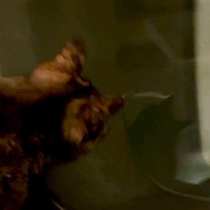 2ae18d17 4a0f 4a5d b5a4 bba8eedea6e1 1745696897561