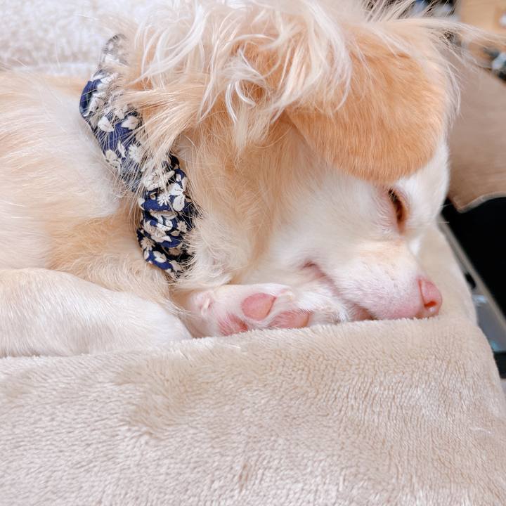 2ae1c43c 54b8 412d ab07 69122166a98d 1664957566496