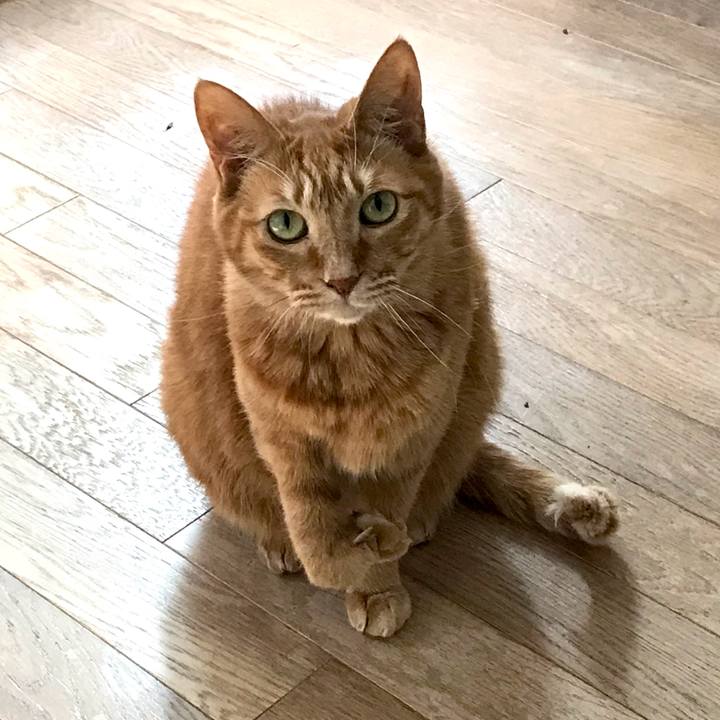 2ae1e48f f7fc 42fa a089 b3705dece9c8 1646613132117