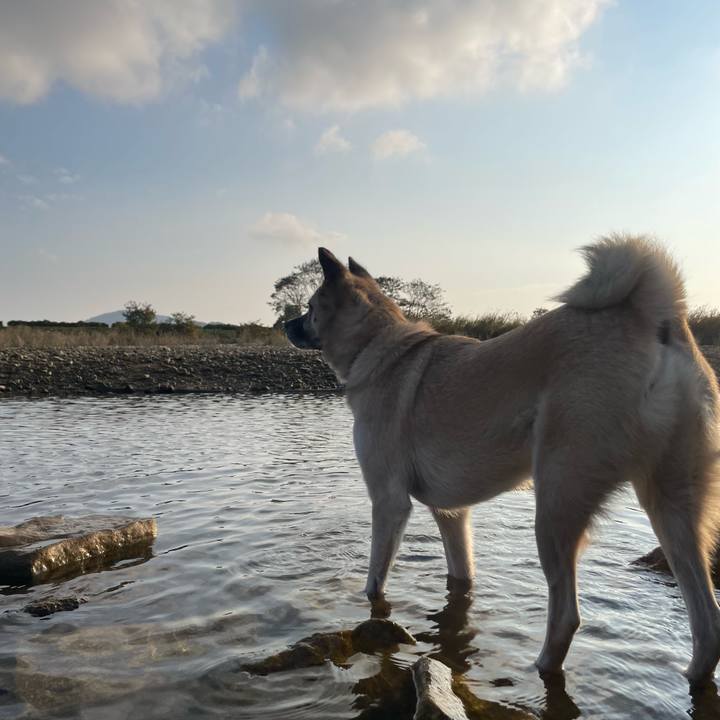 2ae27698 194b 4954 86f5 a946be3287d4 1668239342795