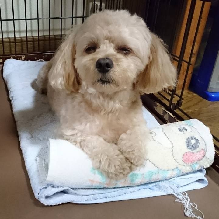 2ae2bcc9 9a3c 4d80 9fc2 86d85ef416a4 1537702162878