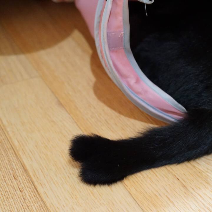 2ae2c342 c1a1 449b b05f 8f9e441e07ff 1550825844815