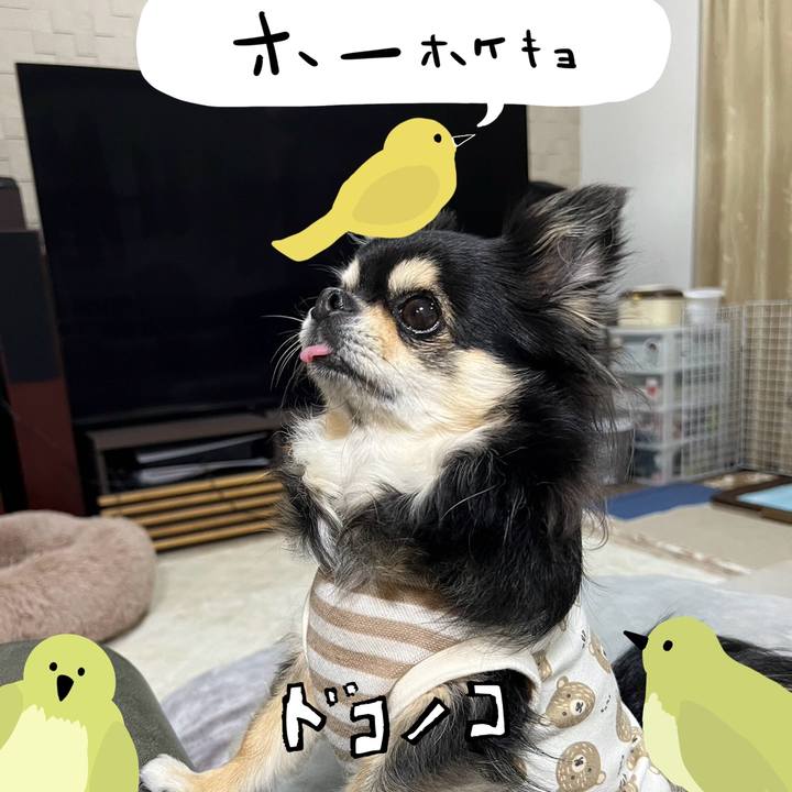 2ae32a0e 82fc 49e7 b19f c24de9ea6c50 1711190994299