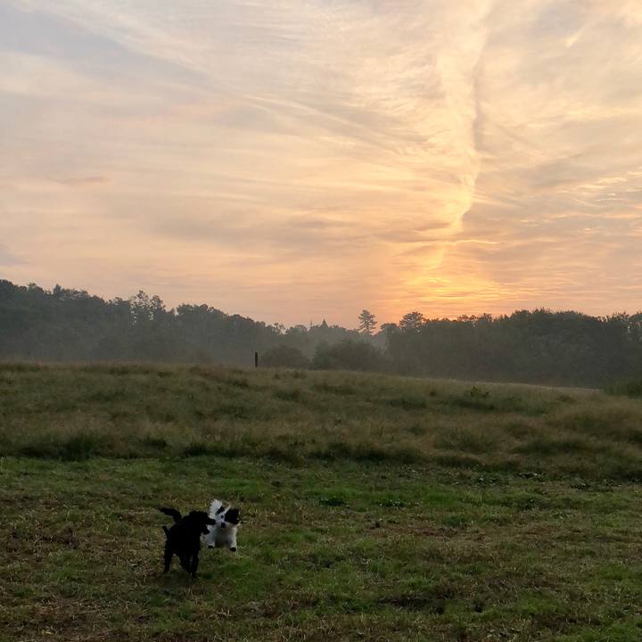 2ae34816 966c 4cb4 a484 12e5dd38a77e 1539644727796