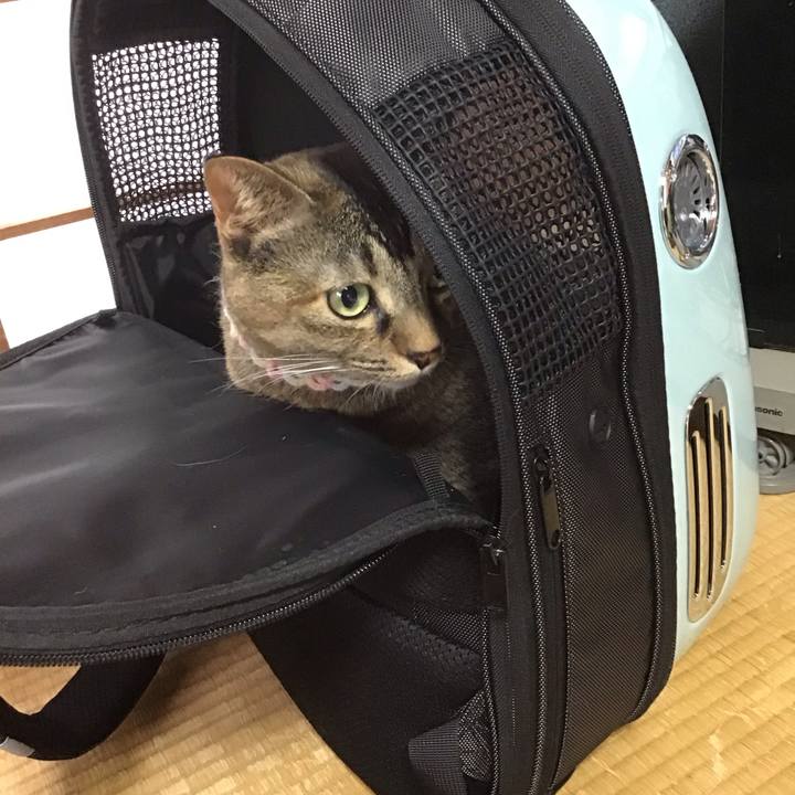 2ae35798 febc 41f8 b1e6 a1b0db93a48b 1700873778041