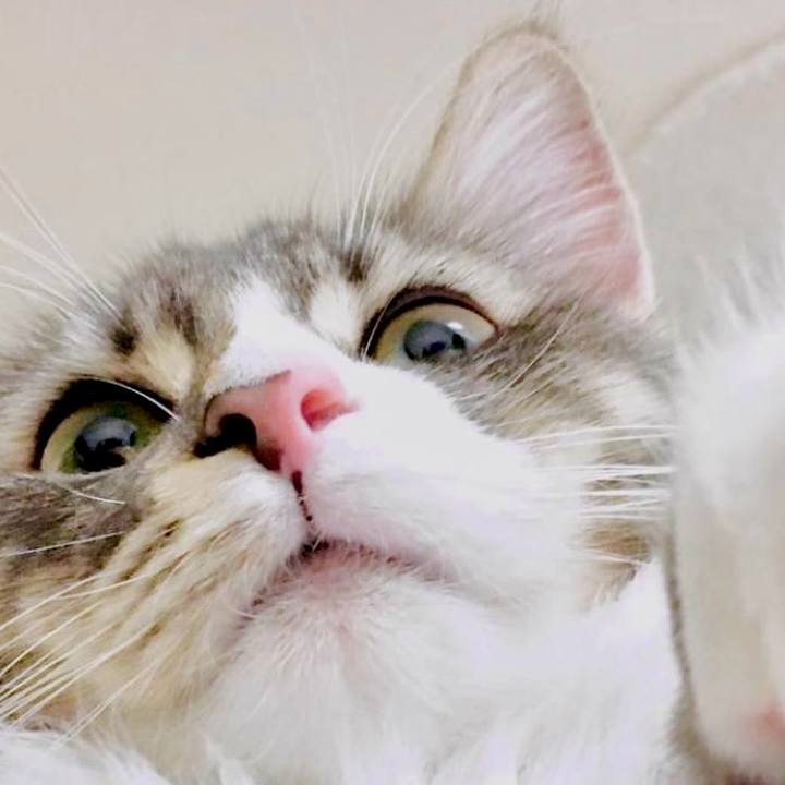 2ae36b9c 6822 4b87 a6de 323b28229ee3 1759332560520