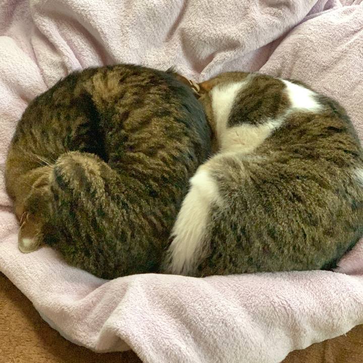 2ae377f5 b193 4108 82d5 a3b2c27321a3 1550624452193