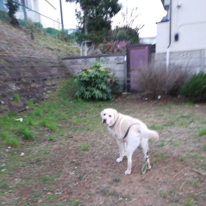 2ae3c7f6 f1e6 4936 87f3 afe9d9e18dac 1552902299029