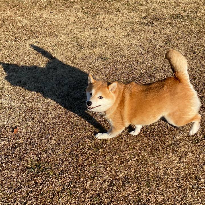 2ae3db4e 36f5 4548 b9de 793e4fcb57bc 1609758876322