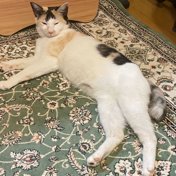 2ae3e6e1 6c50 4868 9e1f 20adbbe47a71 1682421574843