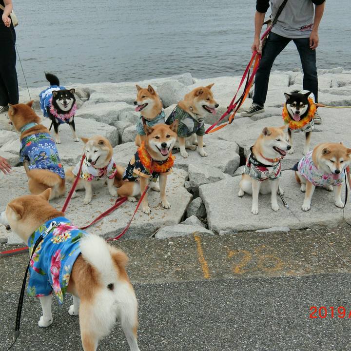 2ae3e85e 8a31 48ab b2bf 541ffde80e97 1563196397907