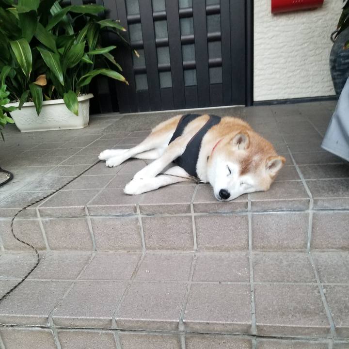 2ae4120b 8155 47d7 bd71 d0d19fd7c1a9 1730721269052