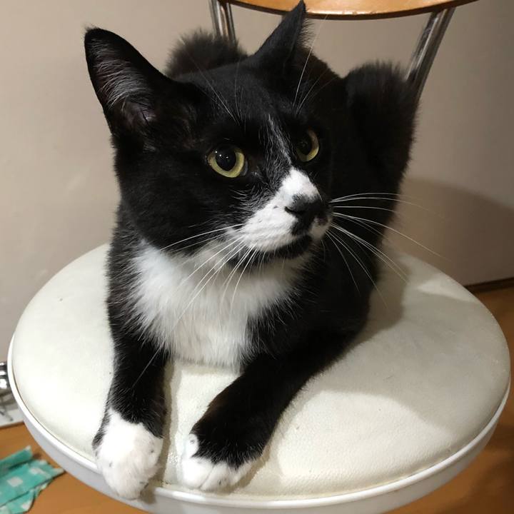 2ae41388 ac71 47ec bf4c dfc94598e1fc 1598157239531