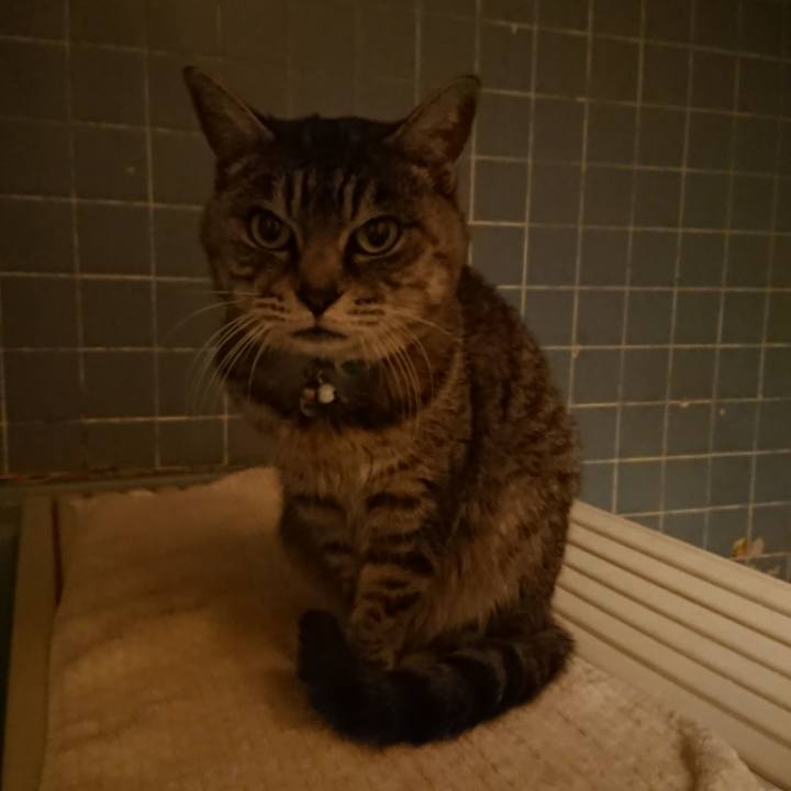 2ae50137 7ef0 441d a321 ae58a643806a 1575883166728