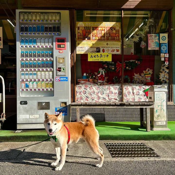 2ae525d7 06c9 45b0 8c7a bdb321b81851 1702117478587