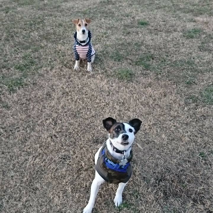 2ae536b5 df0f 422c 9f94 c22896227b72 1514453843863