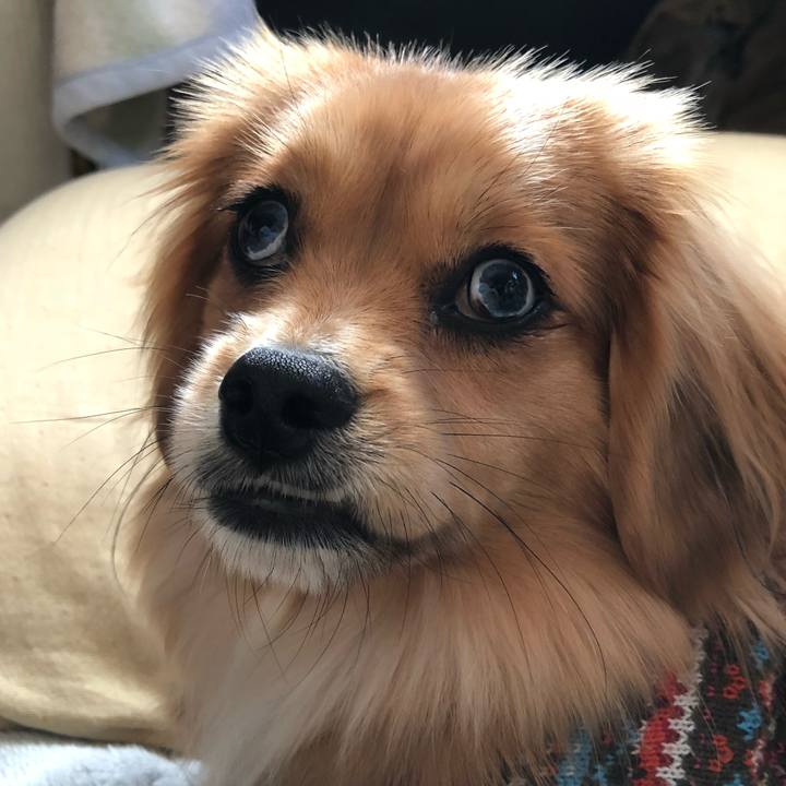 2ae54e90 3055 461e ba3e 1c1252746abd 1518911481845