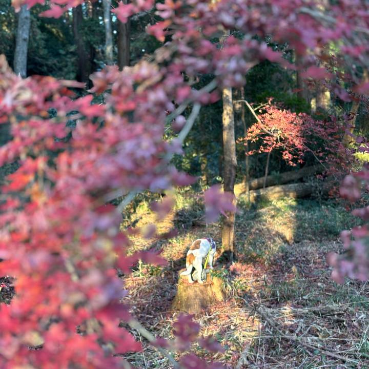 2ae57def 15ff 48de 8925 ce01dd26b9bd 1765365214994