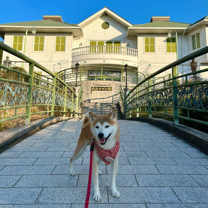 2ae58030 b4dd 424e b698 302c099531a9 1698828109687