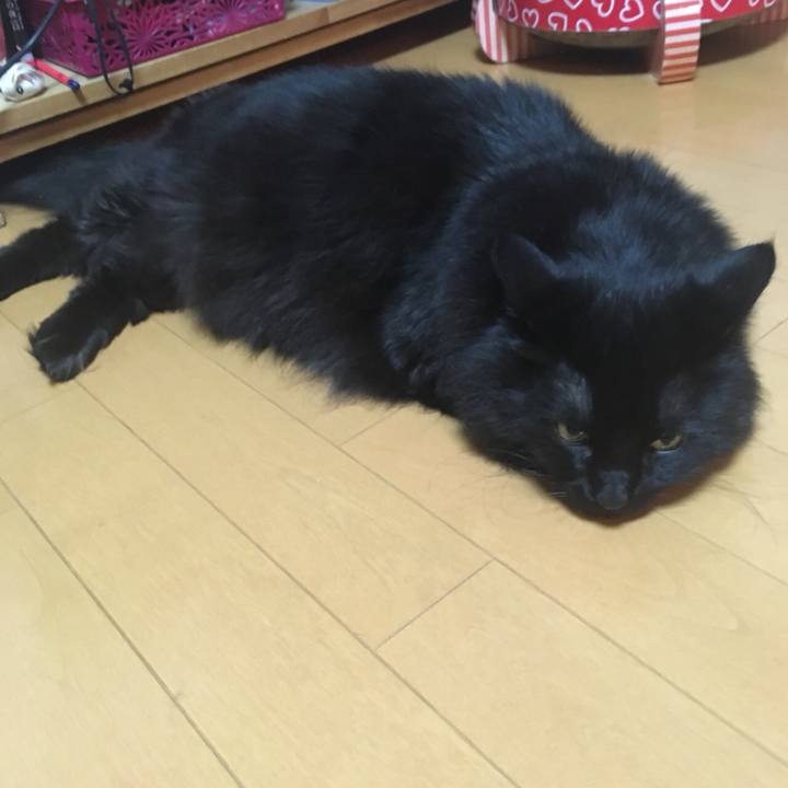 2ae58e1f e091 474d bf2e 12aa8ccb5a4f 1556852261402