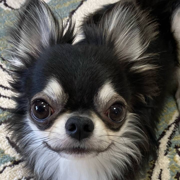 2ae5dbe3 c627 46a3 83ed 4b55920cf26b 1625285895550