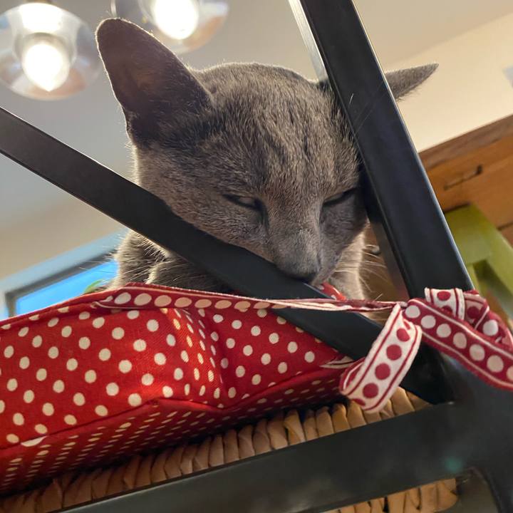 2ae5df72 2299 4932 8679 6f67145d76ee 1592954186001