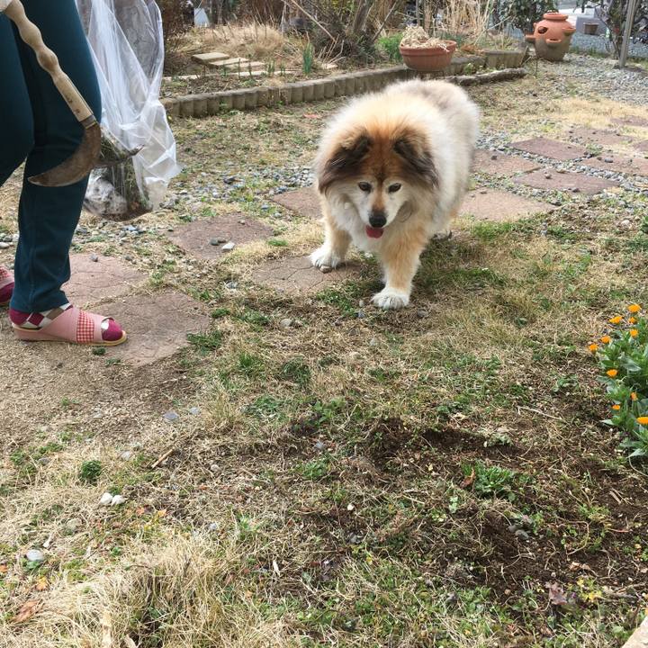 2ae5e0f6 37ef 4442 b38d 36660875dddd 1591981712134