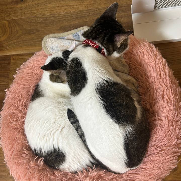 2ae60378 e739 456c b0ab 254cd5e7efff 1767006162110